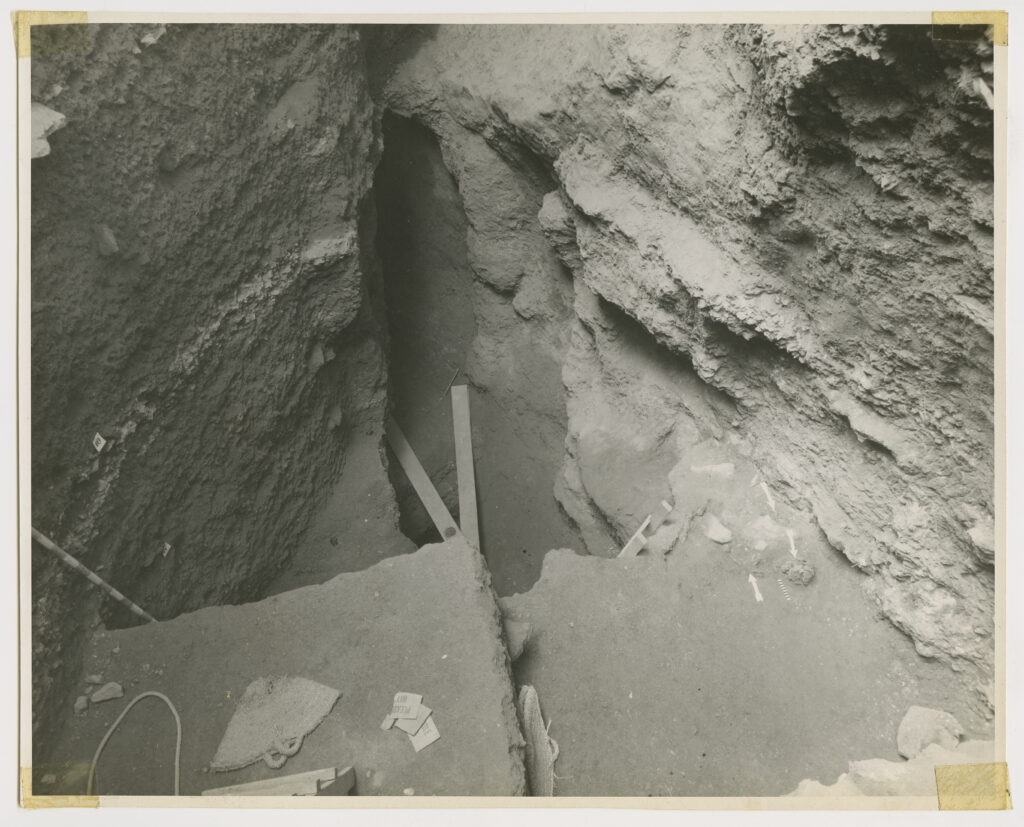 Unearthed bones visibly protrude from the dirt at the bottom of an excavated hole.