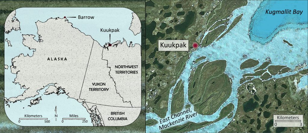 The Mackenzie Delta region, where the longest river system in Canada empties into the Arctic Ocean, provided the people of Kuukpak with bountiful fishing, hunting, and whaling grounds.