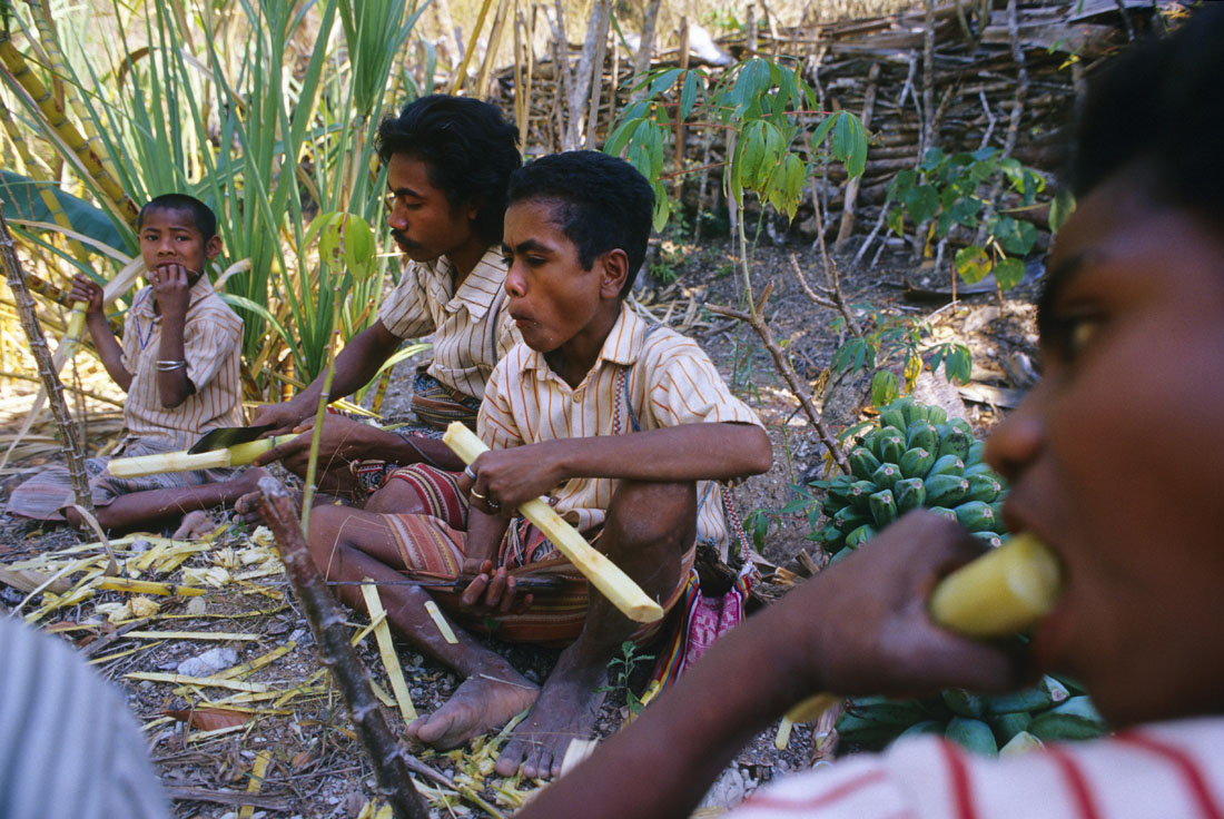 Men munch on sugarcane after a morning of work in the large communal garden below the main village of Boti. Everyone is expected to help in the communal garden, as well as tend to their own, every day. The garden grows sugarcane, cassava, bananas, and coconut trees as well as other herbs and vegetables.