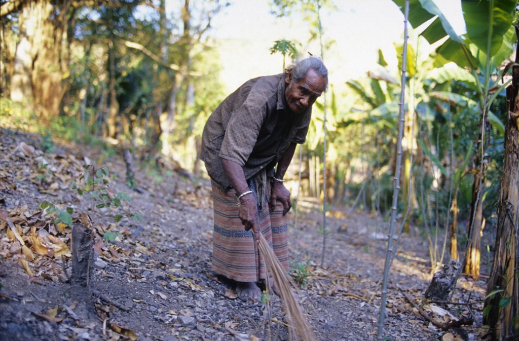 Ama Nune Benu, the now deceased king of Boti, thinks his royalty means he has to work twice as hard as the other people in his small kingdom. Here, at the age of 96, he spends his early morning sweeping the forest surrounding his tiny capital village, setting an example.