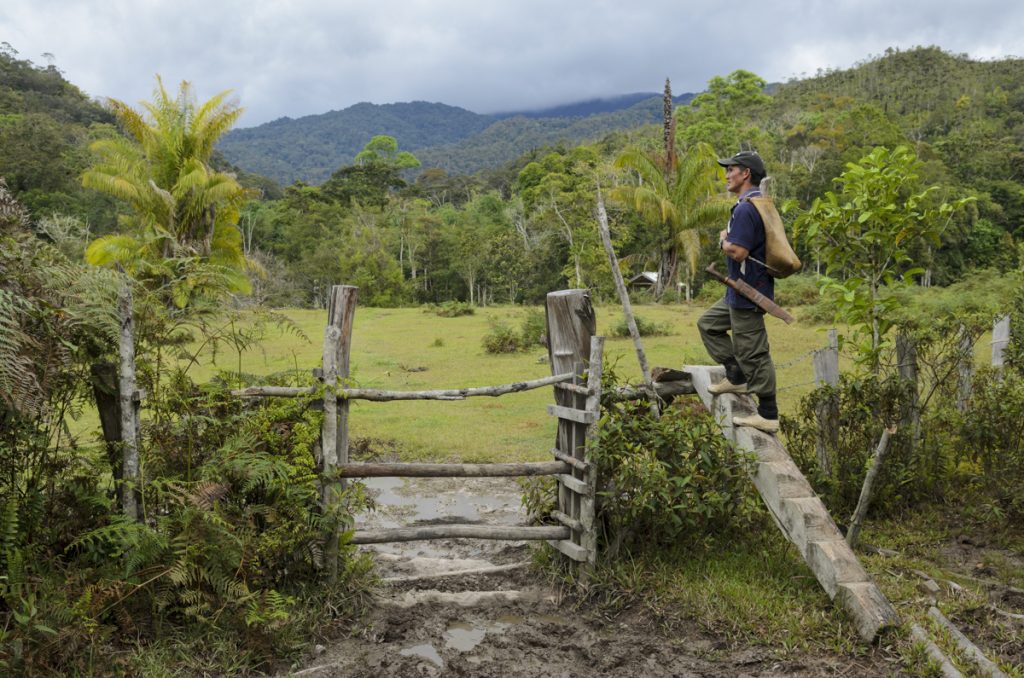 A man stares out over a verdant green field.
