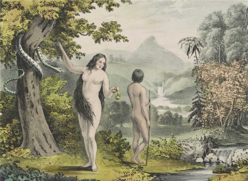 Difficult childbirth and helpless babies could be Eve’s fault—or just evolution’s.