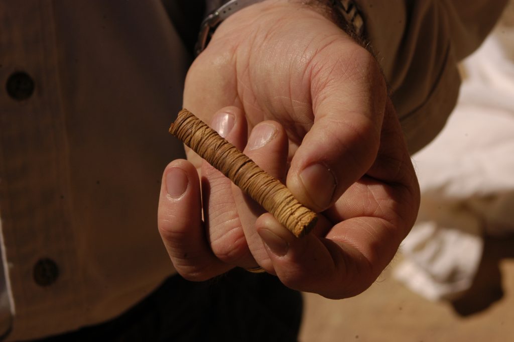 Tree-ring cores, like this one collected at Mesa Verde, can provide accurate and precisely dated information about an archaeological site.