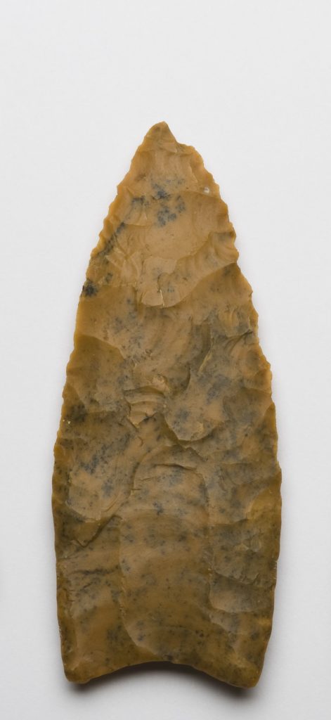 The prevalence of stone artifacts in the archaeological record, such as this Clovis point from the Dent site in Colorado, has led archaeologists to overemphasize presumably male activities, like hunting.