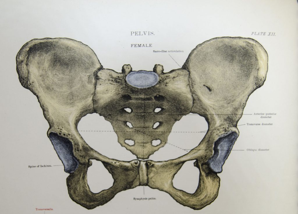 Forensic anthropologists use specific criteria to figure out if human remains are male or female, but some remains fall in the middle and are labeled “undetermined.”