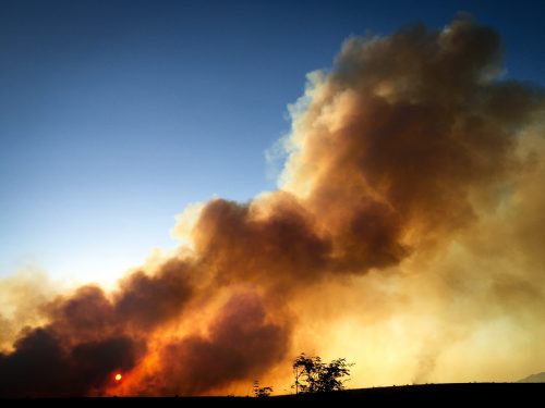 Inmate firefighters - The very nature of wildfire is antithetical to the highly monitored, tightly secured reality of modern prisons. Wildfire is a practice in humility, in engaging with the erratic, in embodying awe. It teaches all firefighters, incarcerated or not, lessons about both control and letting go. It unites communities and those who work to save them; it demands interdependence and raw communication. Wildfire defies all borders and walls. It has a mind of its own. Wildfire is freedom, and this freedom ignites something in each person who stands before the flames.