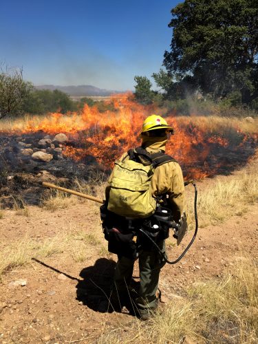 Inmate firefighters - All individuals on Arizona’s prison fire crews are classified as nonviolent offenders, and most are incarcerated for drug charges. Many crew members I interviewed told me that they have a natural inclination to fight wildfires because of their persistent need for a rush. One veteran crew member, in the midst of expertly setting a backburn, turned to me and grinned, saying: “This is better than drugs because I’m still wreaking havoc, but for the greater good!”
