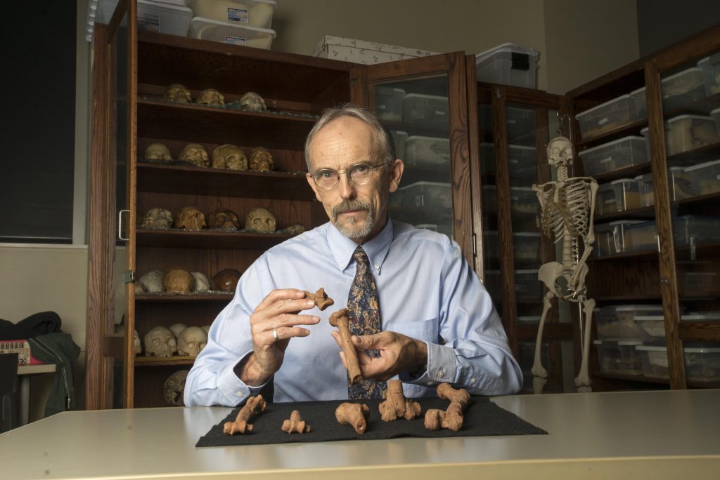 Arboreal human ancestors - John Kappelman, an anthropology professor at the University of Texas at Austin, conducted a paleoforensic analysis on Lucy, the celebrated 3.18-million-year-old hominin skeleton. A new study led by Kappelman brings fresh insight into Lucy’s life and death, suggesting that she spent some of her time living in trees.