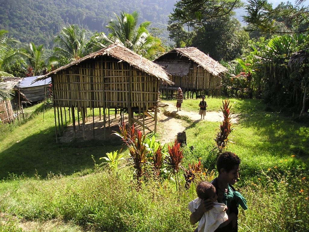 Our dreams—and the ways we interpret them—are strongly influenced by the culture in which we are raised, but both can change when we travel to different places, such as New Guinea, where this Asabano village is located.