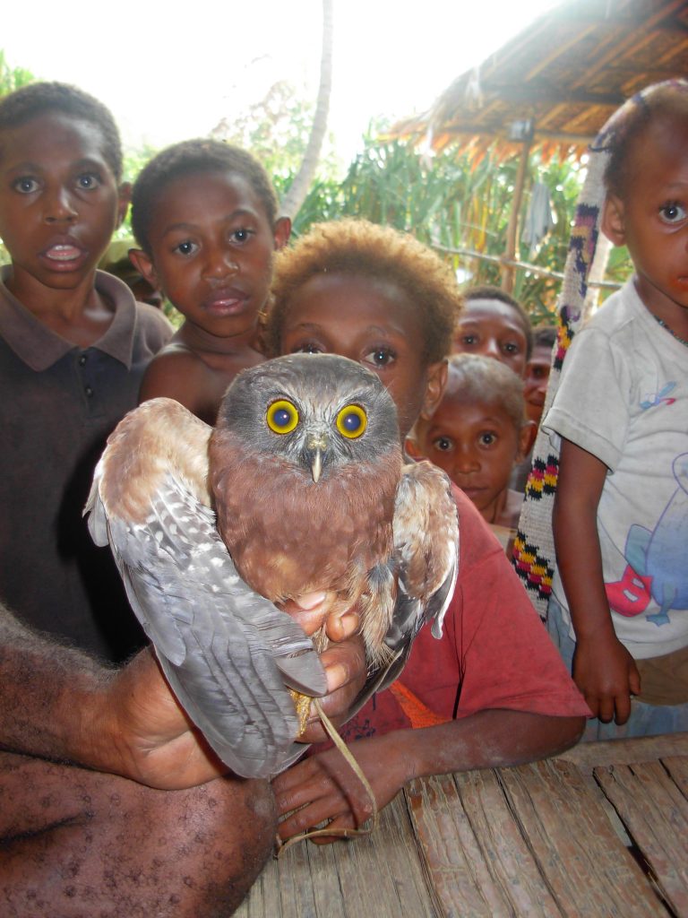 Newly presented cultural images—such as this scene of Asabano children showing off a captive owl—can take flight in our dreams. Dream images reflect the memory consolidation process, but we are often tempted to interpret them differently.
