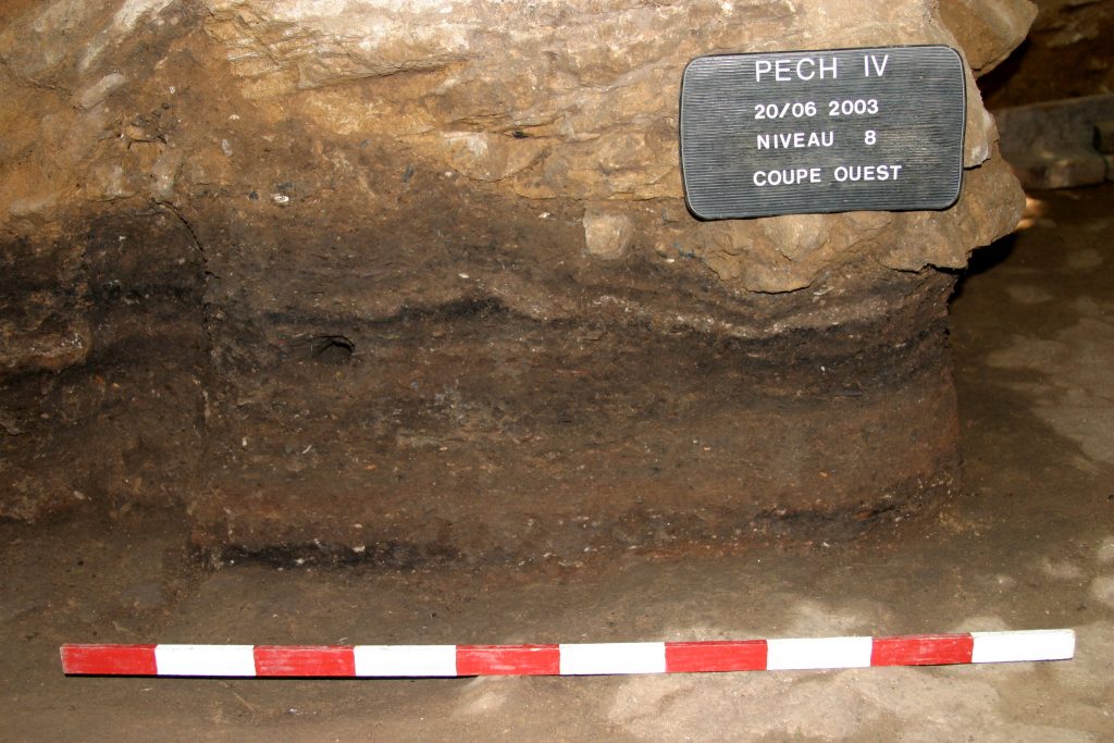 Neanderthal fire - Evidence at both Pech IV and Roc de Marsal suggests that Neanderthals did not have fire during the coldest time periods.