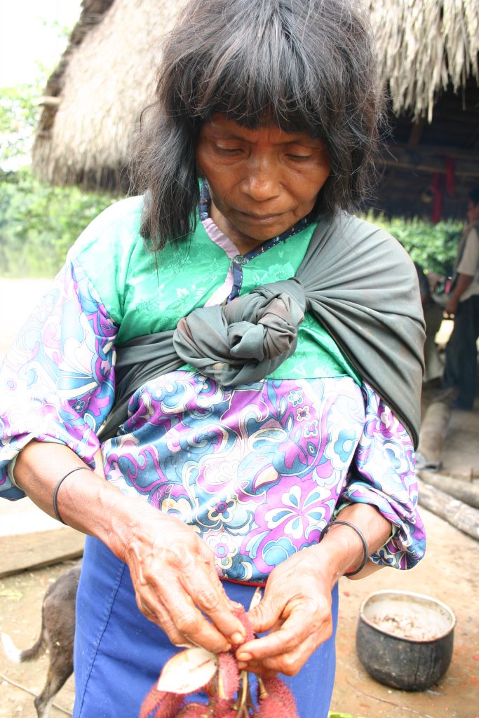 Color perception - The Candoshi are now in the middle of the color debate, with some research suggesting that they lack specific words for colors.