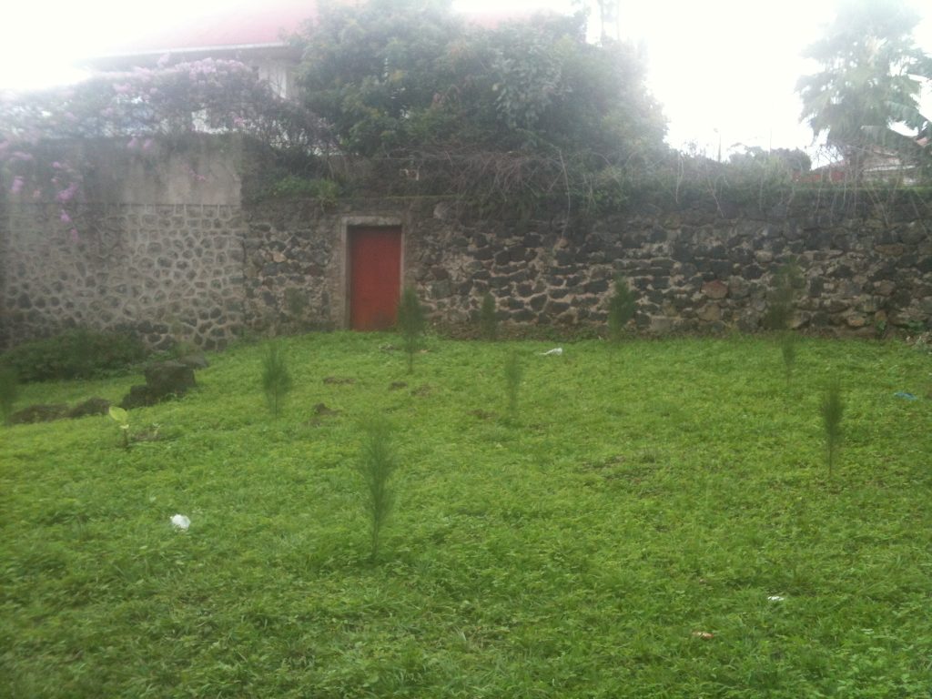 Rwandan Genocide rescuers - This wall, which sits on the border between Rwanda and the Congo, is next to a footpath that was used to evacuate Tutsis during the genocide.