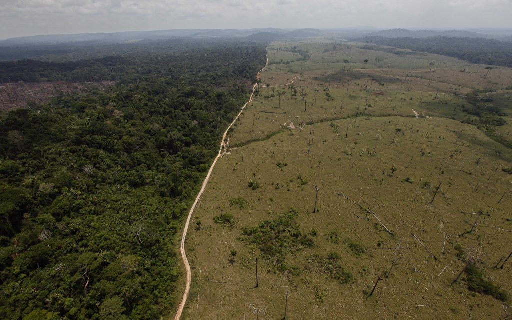 Amazon hunting - The Amazonian ecosystem faces significant threats from extractive industries such as logging, mining, and grazing. Indigenous reserves have proven to be as effective as more restrictive national parks at preventing deforestation.