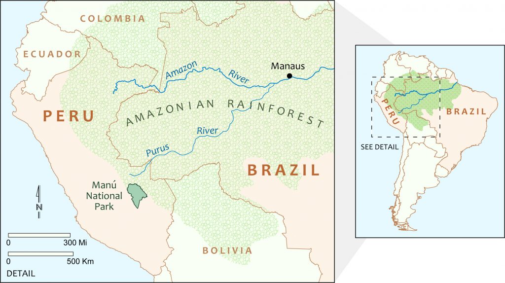 Amazon hunting - In studying current impacts of subsistence hunting in the Amazon, researchers found they needed to better understand the ecosystem’s socio-environmental history.