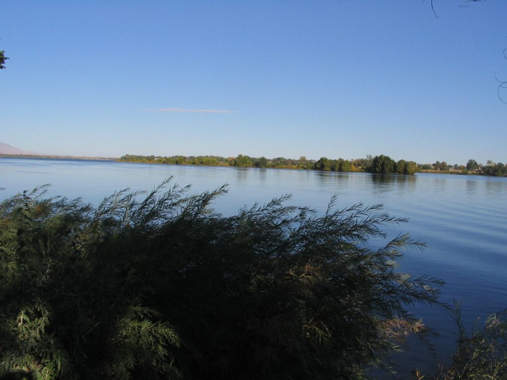 essay extends debate over dna discovery Chaco canyon NAGPRA - In 2015, with the help of DNA provided by members of the Colville Tribe, geneticists confirmed that the Kennewick Man—an 8,500-year-old skeleton found next to the Columbia River near Kennewick, Washington—was related to present-day Native Americans.
