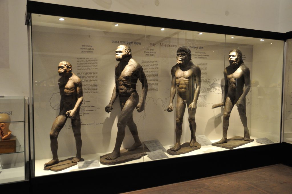 Autism human evolution - The story of human origins is much more varied and complex than we often recognize.