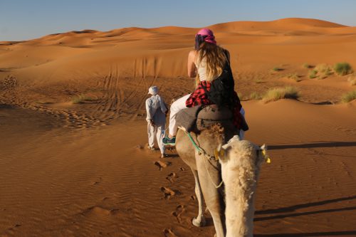 Moroccan marijuana - Most formal tours in Morocco offer travelers an experience—such as camel rides in the southern region of the country—while informal tours are typically designed to convince customers to buy a particular product, like hash.