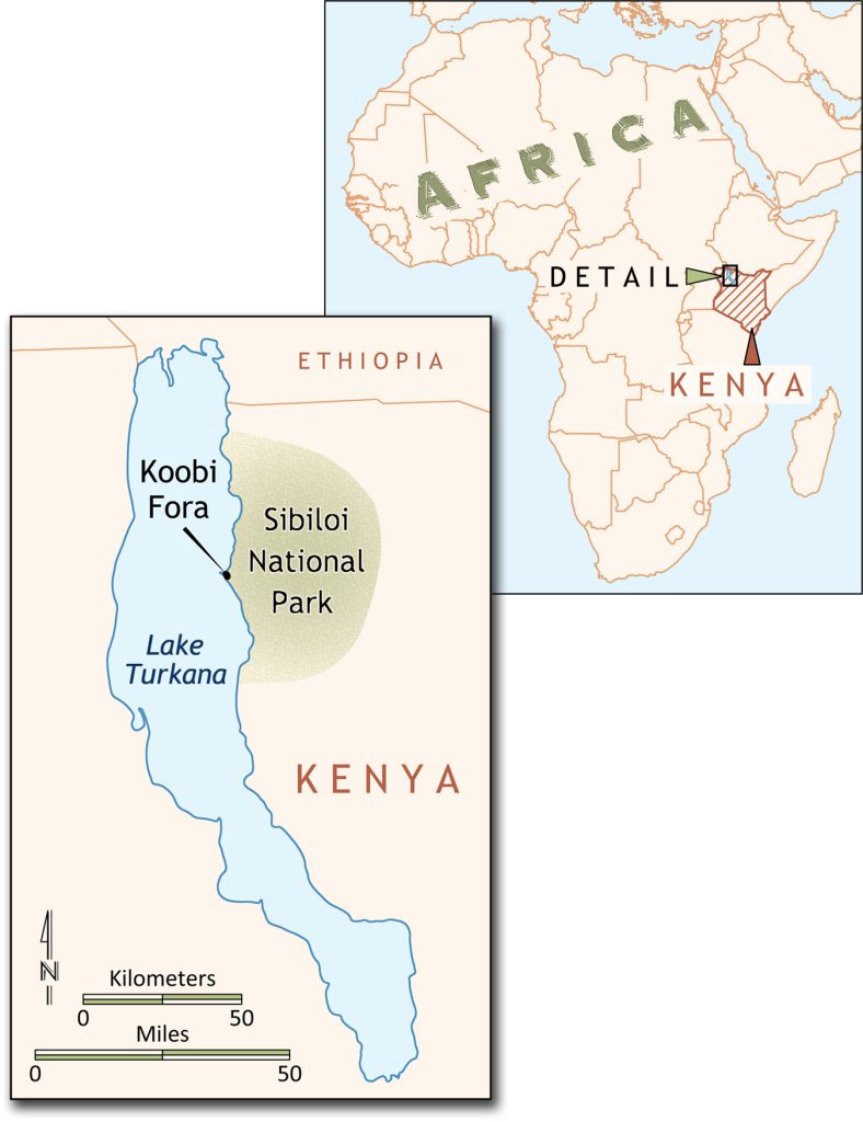 Human fire use - Hlubik’s fire research focuses on Koobi Fora, an area in Kenya in which reddened patches of soil that look similar to the aftermath of human campfires have been found underneath the surface at one of the archaeological sites.