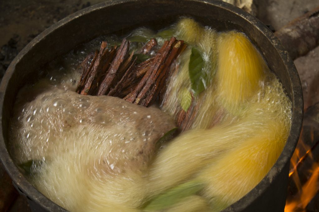 The hallucinogenic ayahuasca brew, made from Amazonian plants, is traditionally used in shamanic and healing rituals.