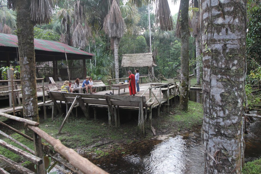 Visitors seek alternative healing practices at Ayahuasca retreats at Amazonian rainforest lodges.