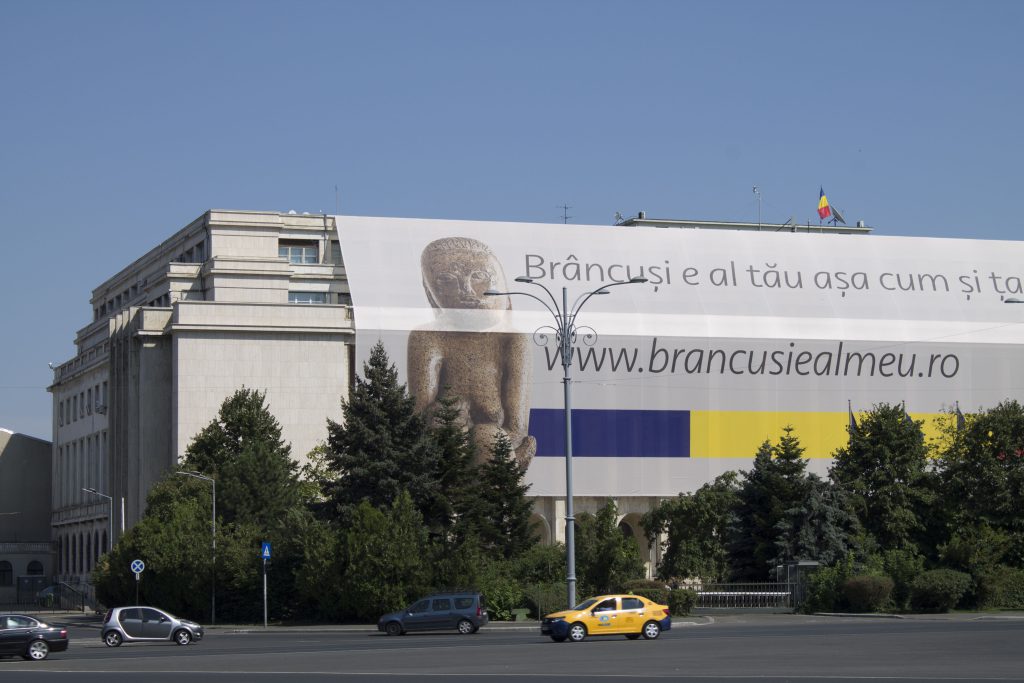 “Wisdom” might stay where she is—or she could be resettled outside of Romania.