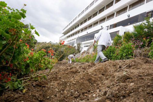 The crew of the hotel, including chefs and landscape architects, sow quinoa by hand, the way one might shake salt over a meal.