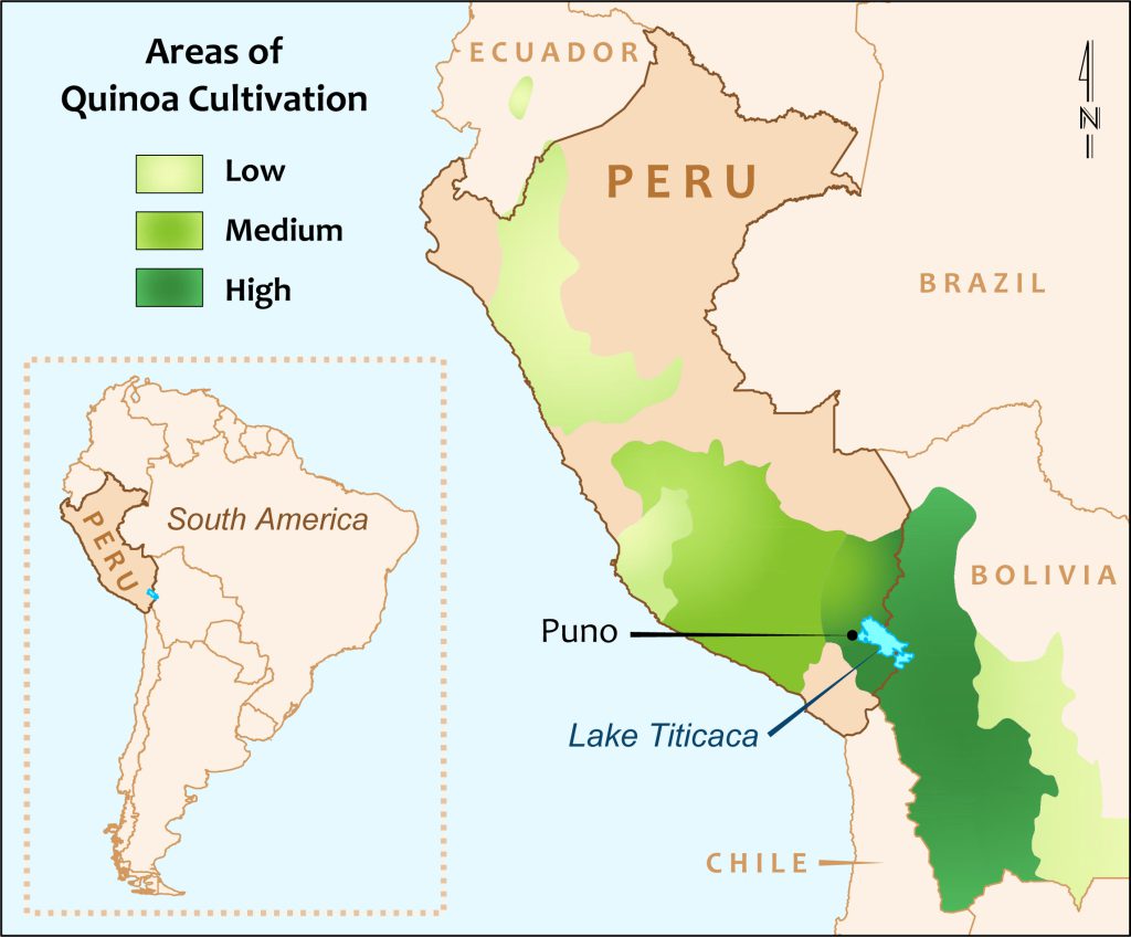 The vast majority of the world’s quinoa is cultivated in Peru and Bolivia.