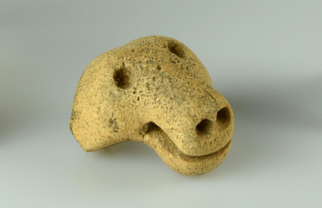 A bear’s head carved from sea mammal bone was found by a volunteer on the first day of the three-week dig at Hamanaka II in 2016.