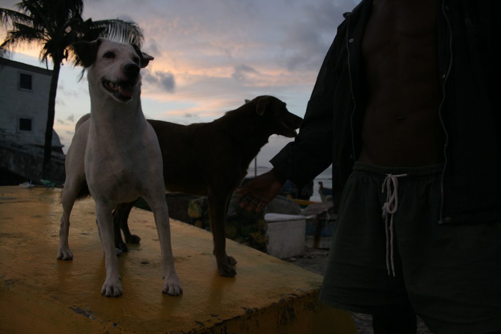 Vito, one of the more seasoned street dwellers and a so-called loner, trained two dogs to watch over him when he sleeps.
