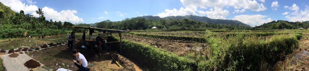 Zooarchaeologist E. Grace Veatch investigates rat remains near the Liang Bua Cave on the Indonesian island of Flores.