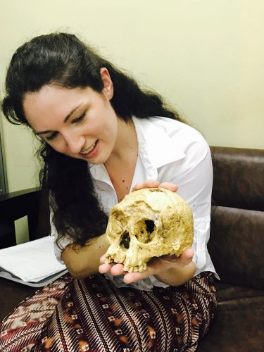 Homo floresiensis rat bones - Veatch examines a “hobbit,” or Homo floresiensis, skull from Liang Bua Cave.
