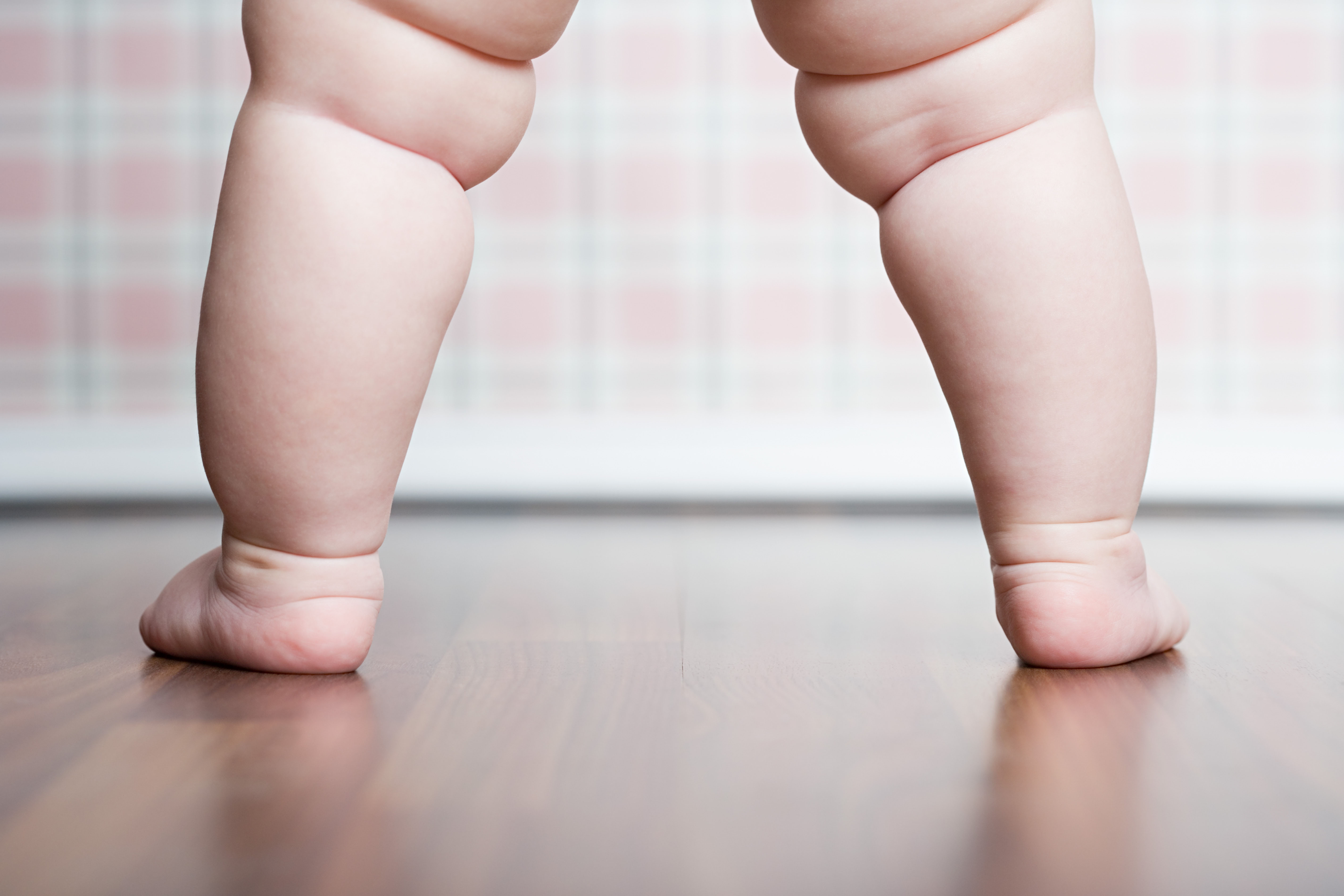 Baby Fat Is About More Than Cuteness – SAPIENS