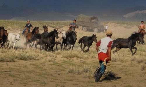 Horse domestication - The Naadam festival celebrates the central role of skilled riders and horses in Mongolian culture and history.