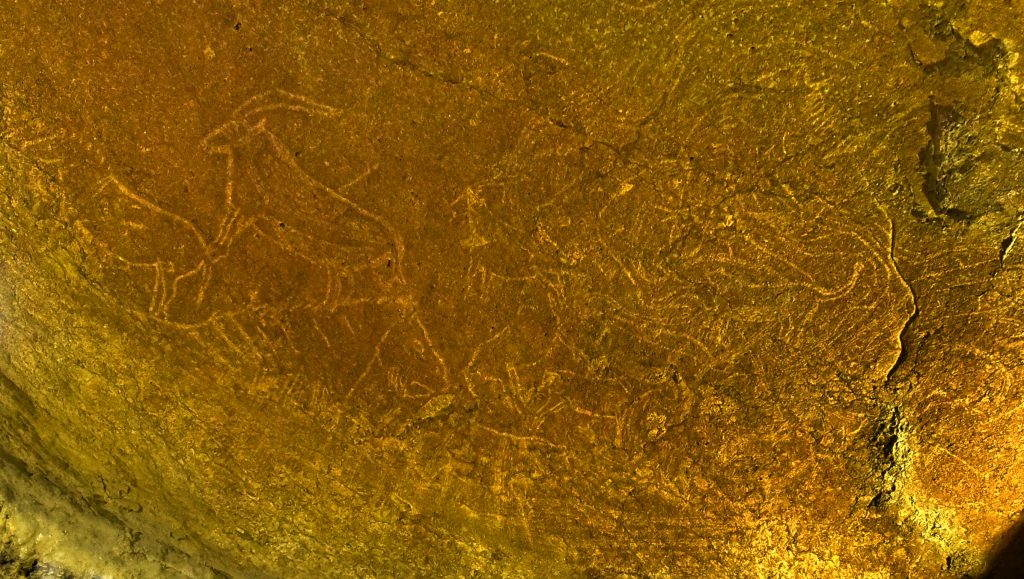 Dozens of animal engravings—including a very rare pair of lions—were discovered in the Armintxe cave by speleologists who had been trained by Garate.