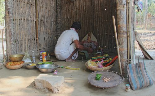 The night after the accident, the gaon burra (village head) dreamed of Ganesh. The god demanded that a temple be built in his honor. Some people feared that elephants would come to destroy the village in retribution for the tusker’s death if they did not follow Ganesh’s instruction. Community members organized a collection and built a small temple on the headman’s property, a few meters from where the elephant died. With this act, private land was converted into a public, sacred space. A statue of Ganesh was housed inside the temple, and this manifestation of Ganesh is now worshipped twice a year on his major festivals, called Jayanti and Chaturti. People hope their offerings will help mediate human-elephant relations in these times of conflict.