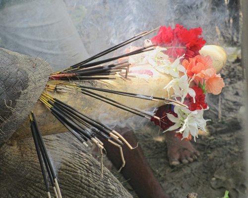 The fallen god’s right tusk was adorned with incense and a garland of flowers. The decorations were displays of hospitality for the elephant, carefully placed in the hope that they would attract the deity’s gaze and favorable attention. According to locals, Ganesh enjoys being dressed in this manner. Devotees seek to nurture a good relationship with him.