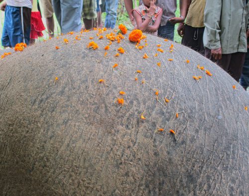 elephants india religion