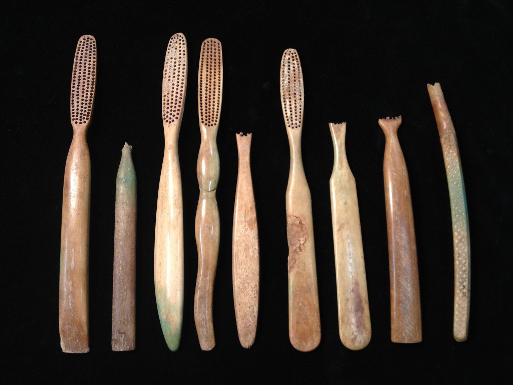 Bone-handled toothbrushes excavated from the privy at 27–29 Endicott Street illustrate the importance of dental hygiene for the women who worked and lived at this brothel.