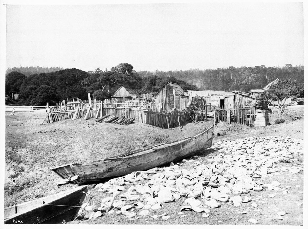 This photograph of a Chinese fishing village near Monterey, California, was taken around 1900. Discarded abalone shells litter the foreground next to two sampans—traditional boats used to forage the shoreline and transport catch.