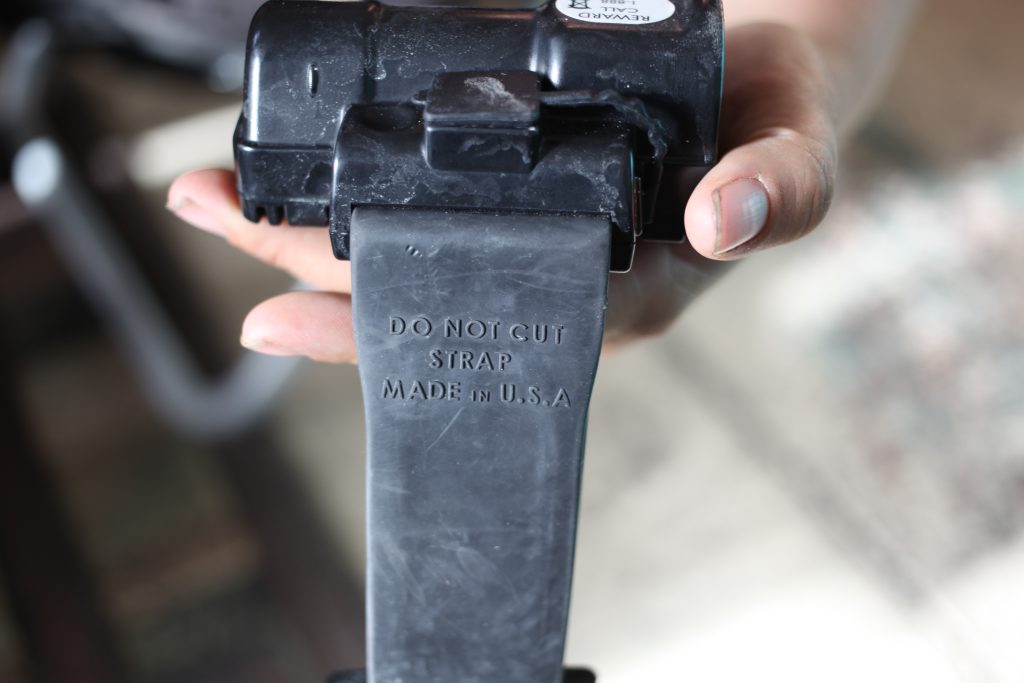 An immigrant to the U.S. who was forced to wear this GPS ankle monitor removed it.