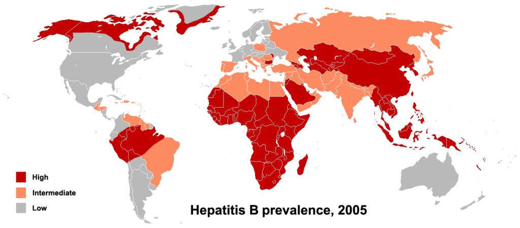 hepatitis b evolution - This map shows the worldwide distribution of the hepatitis B virus in 2005.