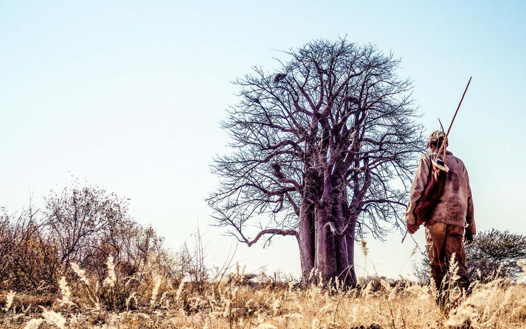 Nyae-Nyae in northern Namibia is the last place in the country where Ju/‘hoansi are free to hunt in the traditional way.