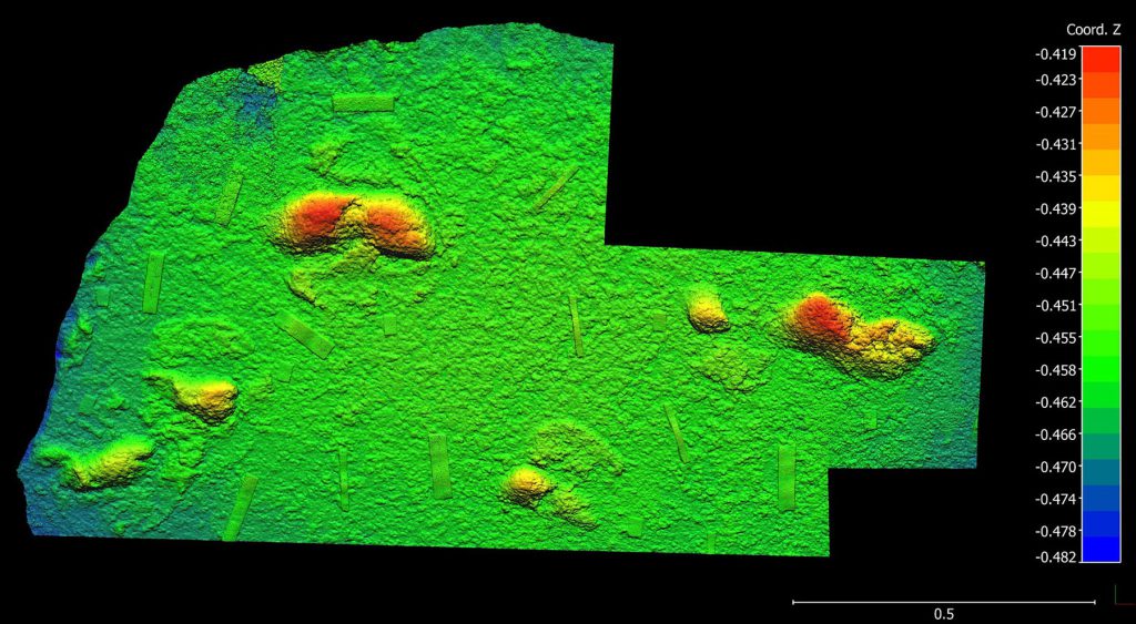 Hours of 3D photogrammetry work reveal the tracks of ancient humans on the South African coast.