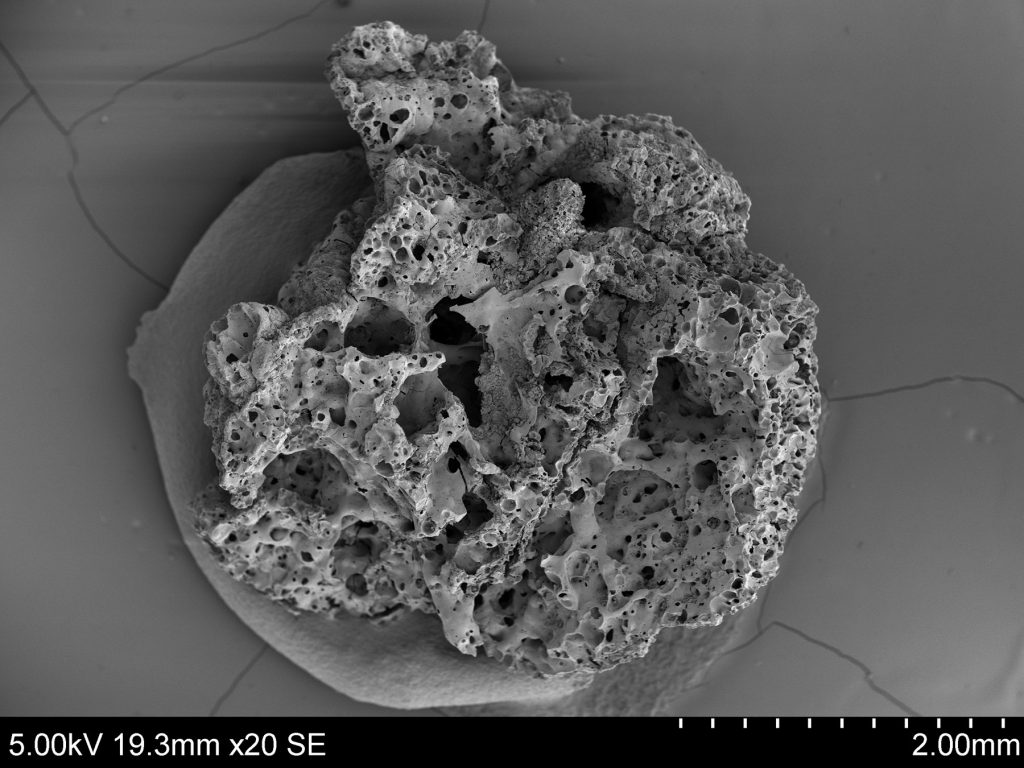 A high-resolution image of a piece of bread from Shubayqa 1. The bread remains were analyzed using a scanning electron microscope to reveal the microtexture of the finds, which allowed them to be compared with modern analogues.