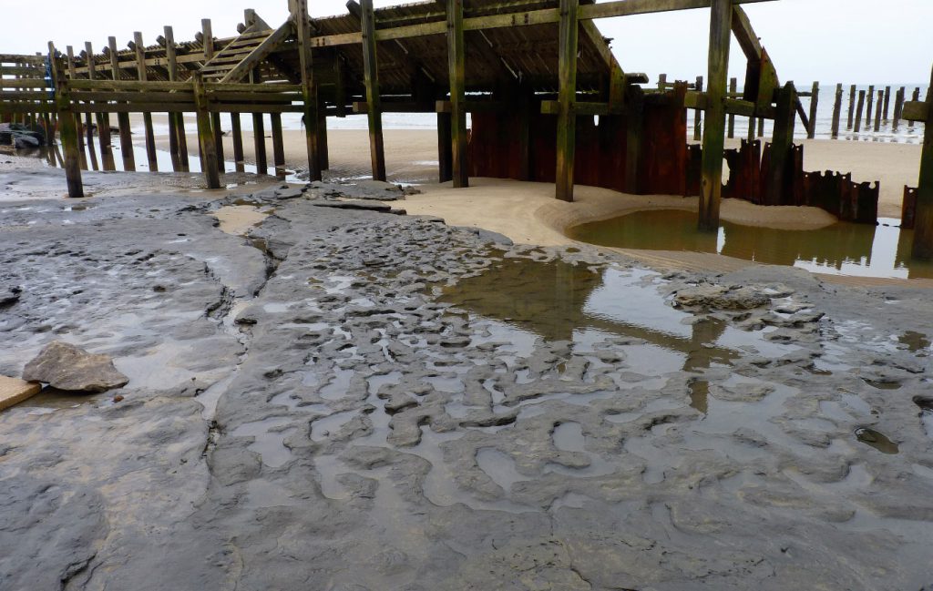 For a while, researchers could look at the surface of the beach and see human footprints created almost a million years ago and then preserved until revealed by a storm.