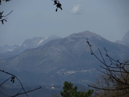 This photo shows the view from the Monti Pisani in February 2014, looking north toward the Apuan Alps.