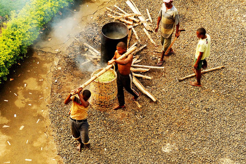 These Malagasy men are heating green vanilla beans in water that is just under boiling temperature to initiate the curing process.