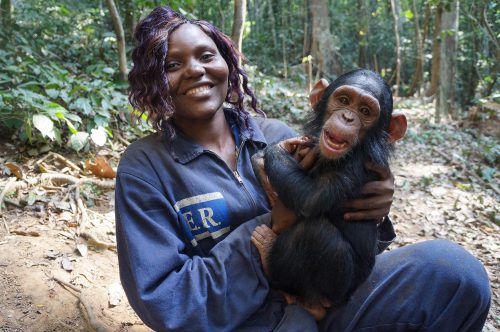 At a sanctuary in Cameroon, caregiver Henriette holds Gnala, a 2-year-old chimpanzee who had previously lived in a human household as a pet.