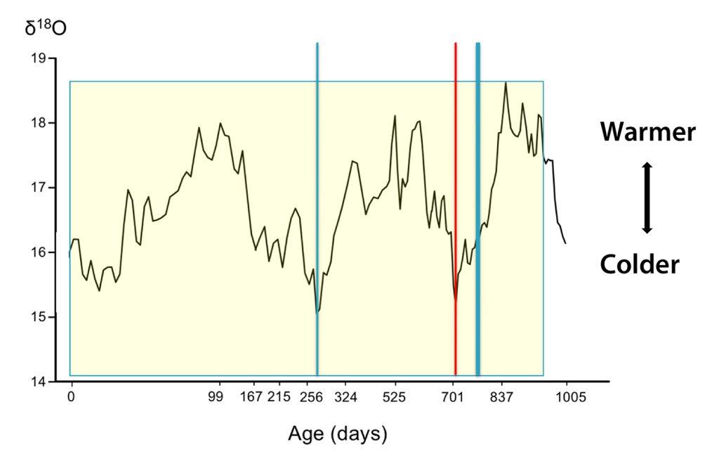 A 250,000-year-old Neanderthal tooth yields an unprecedented record of the seasons of birth (age 0), nursing (yellow box), illness (red line), and lead exposures (blue lines) over the first 2.8 years of this child’s life. Oxygen isotope values sampled on a weekly basis are shown as a ratio of heavy to light variants.